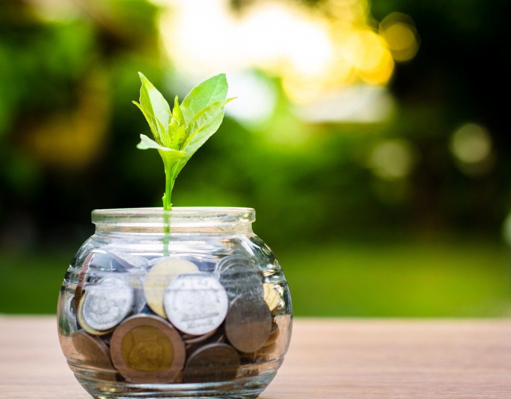 glass jar filled with coins, a leaf sprouting from the bottom