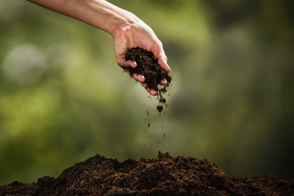 handful of soil