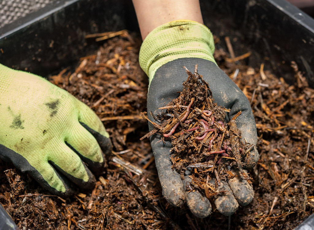 person composting 