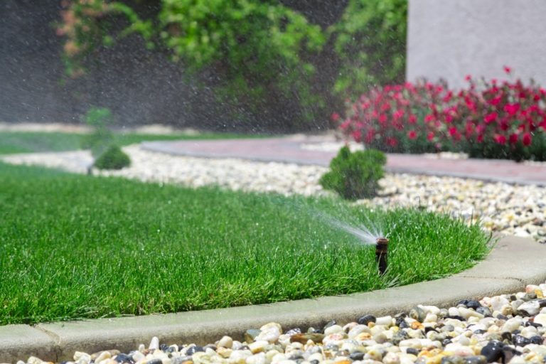 sprinkler on the lawn