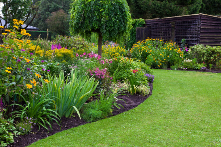wide garden