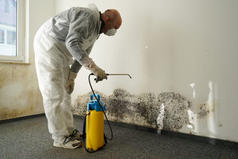 a person removing mold