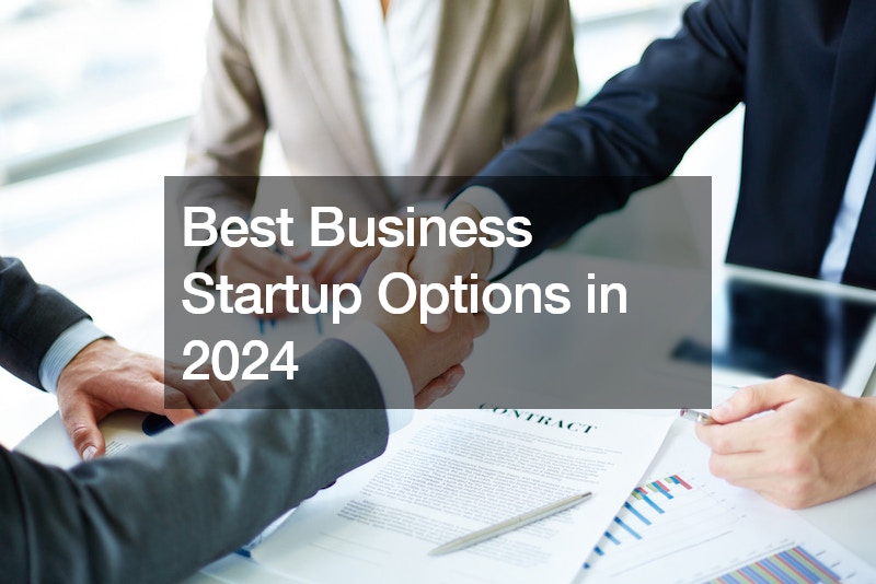 Best Business Startup Options in 2024