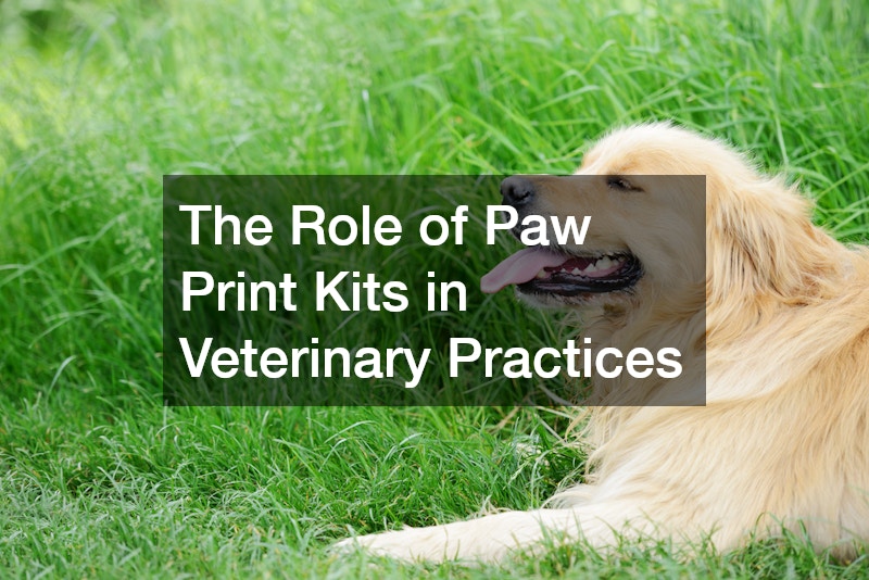 The Role of Paw Print Kits in Veterinary Practices